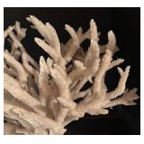 MB - Large White Coral Decor on Lucite Base