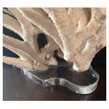 MB - Large White Coral Decor on Lucite Base