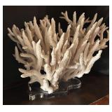 MB - Large White Coral Decor on Lucite Base