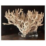 MB - Large White Coral Decor on Lucite Base
