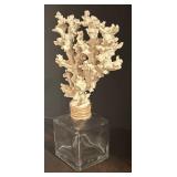 BR2 - Coral Decor on Glass Base