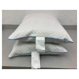 Cluster Pillows (Set of 2)