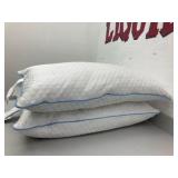 Cluster Pillows (Set of 2)