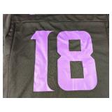NFL Players Team Apparel Minnesota Vikings Jefferson Jersey #18, Men