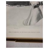 A Widow and Her Friends by C.D. Gibson with Illustrations in Slipcase