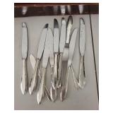 Stainless Steel Flatware Set with Case and Polishing Cloths