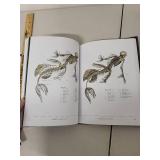 Lot of 2 Illustrated Books: The Resurrectionist and Archangel by William Gibson