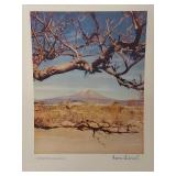 Collection of Vintage Landscape Prints including by Mario Bucovich