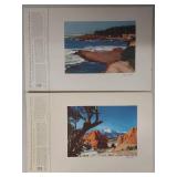 Collection of Vintage Landscape Prints including by Mario Bucovich