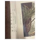 Collection of Art Prints and Audubon A.W. Hallander Calendar
