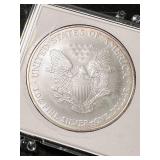 2006 AMERICAN SILVER EAGLE 1 TROY OZ .999 FINE SILVER IN CASE