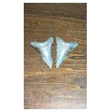 Pure Silver Shark Teeth 999 fine!