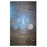 1904-1900 Indian Head Cents!