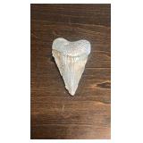 Pure Silver Great White Shark Tooth