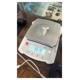 Pure Silver Great White Shark Tooth