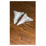Pure Silver Shark Teeth 999 fine!