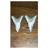 Pure Silver Shark Teeth 999 fine!