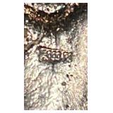 Pure Silver Shark Teeth 999 fine!