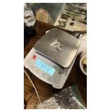 Pure Silver Shark Teeth 999 fine!