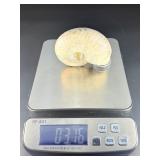 A captivating silver ammonite fossil displaying natural iridescence across its spiraled chambers.