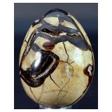 Spectacular Polished Septarian Nodule "Dragon
