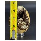 Spectacular Polished Septarian Nodule "Dragon