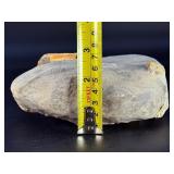 Rare Precambrian Stromatolite Fossil Specimen - Earliest Record of Life on Earth. Geological Significance: Dates back to the Precambrian era, potentially over 2 billion years old.