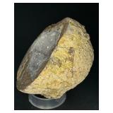 Natural Quartz Agate “Galaxy” Geode is a mesmerizing geological treasure that resembles a miniature cosmic landscape.