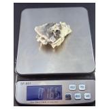 Laguna Lace Agate (Partial Polished) is a striking natural piece that beautifully balances raw texture with smooth, polished detail.