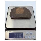 Dactylioceras Ammonite Fossil in Slate is a captivating natural specimen showcasing an ancient ammonite fossil beautifully preserved within a dark slate matrix.