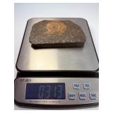 Dactylioceras Ammonite Fossil in Slate is a captivating natural specimen showcasing an ancient ammonite fossil beautifully preserved within a dark slate matrix.