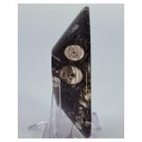 Orthoceras Fossil Bowl is a striking, hand-carved display piece featuring the elongated, jet-black orthoceras fossils embedded in a smooth, polished matrix.