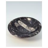Orthoceras Fossil Bowl is a striking, hand-carved display piece featuring the elongated, jet-black orthoceras fossils embedded in a smooth, polished matrix.