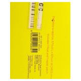 SUN SQUAD POPSICLE LOUNGE FLOAT WITH GLITTER