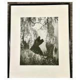 Framed Black & White Nature Photograph