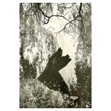 Framed Black & White Nature Photograph