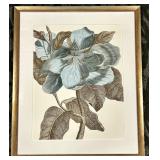 Blue Magnolia Framed Print - Botanical Wall Art in Gold Beaded Frame