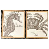 Sea Horse Specimen No. 1749 & Crab Specimen No. 1005 - Framed Marine Prints