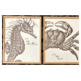 Sea Horse Specimen No. 1749 & Crab Specimen No. 1005 - Framed Prints