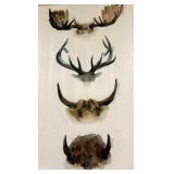 Canvas Wildlife Antlers Painting - Watercolor Horns Artwork for Wall & Signed, Original Canvas