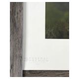 Signed Federal Premium 2003 Print - Pursuing the Dream - Jim Gallop