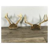 2 - 6 Point Buck Antlers