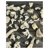 Large Lot of Small Pieces of Coral & More