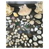 Lot of Sea Shells, Sea Glass and More