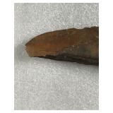 Possible Fossil & Possible Arrowhead