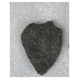 Possible Fossil & Possible Arrowhead