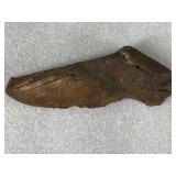 Possible Fossil & Possible Arrowhead
