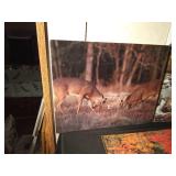 2 - 1983 impact images Eldorado Hills, CA photographer John Wagner and Deer  print photographed by Denver Bryan