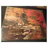 2 - 1983 impact images Eldorado Hills, CA photographer John Wagner and Deer  print photographed by Denver Bryan