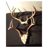 2 sets of deer antlers